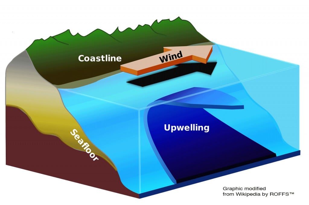 Upwelling2
