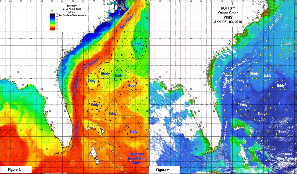 South Area final FIG 1&2