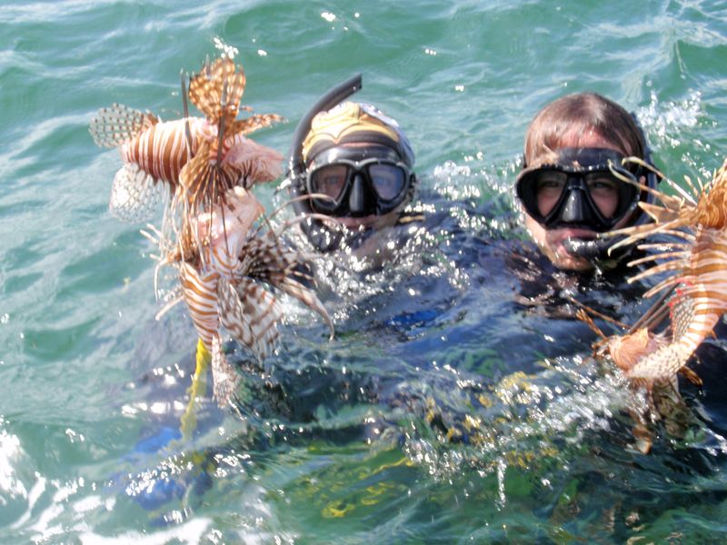 Lionfish2