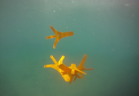 Remora-by-Alejandro-Plasencia_dezeen_468_13