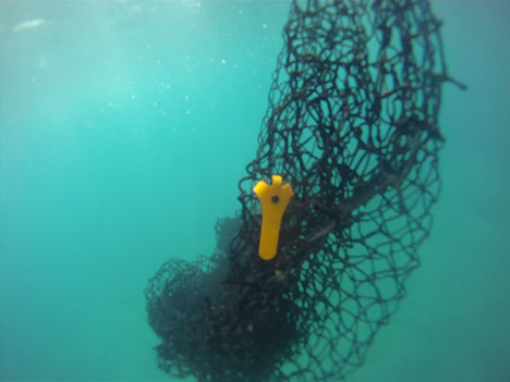 Remora-by-Alejandro-Plasencia_dezeen_468_5