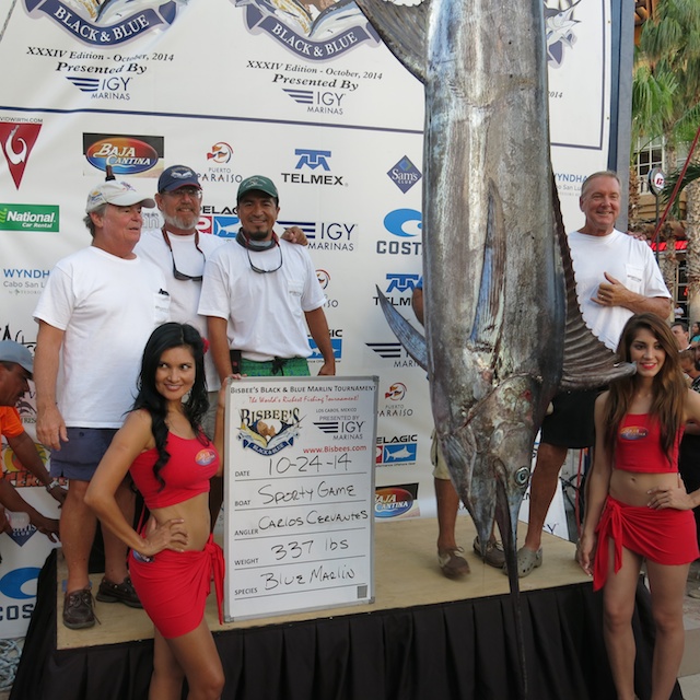 SportyGameBisbeesFish