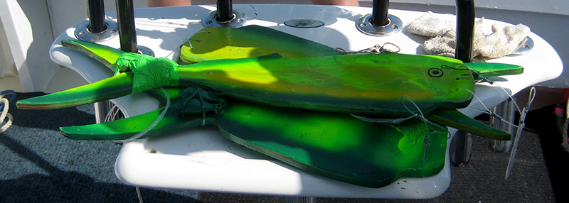 IMG_4142 Dorado Teasers cropped