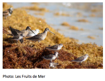 Screen Shot 2015-04-29 at 10.42.14 AM