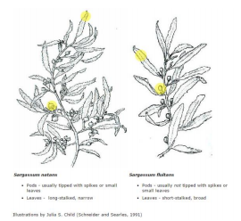 Screen Shot 2015-04-29 at 10.43.02 AM