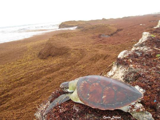 19cee95ddd3676b74e29e38f2ef0b784db479e7c