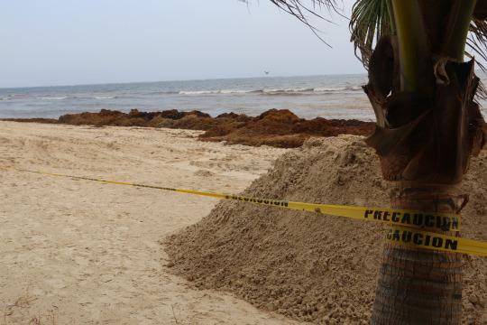 d0282f62b520ba6cda4475e6d49efecbdb2b4e08