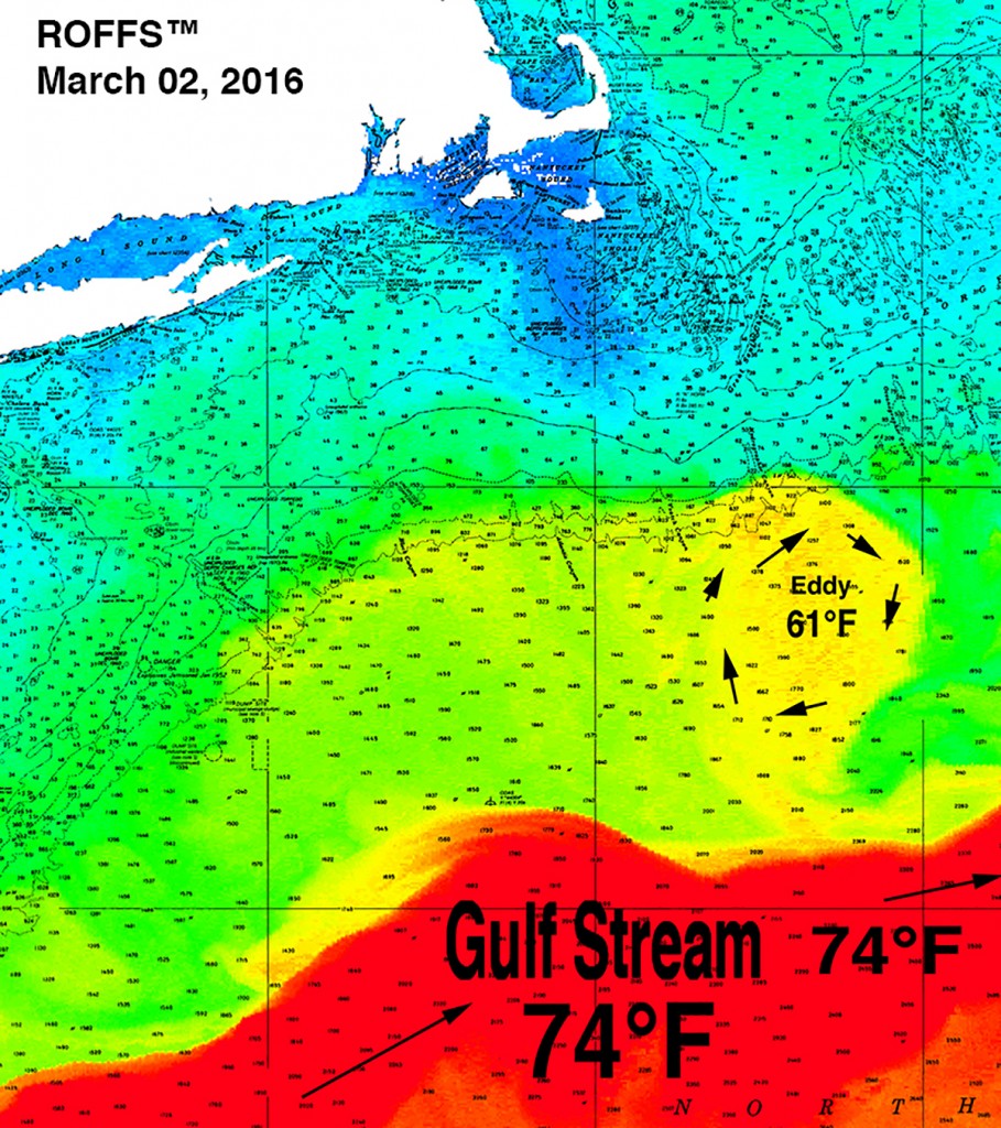 North Area March02,2016Crop
