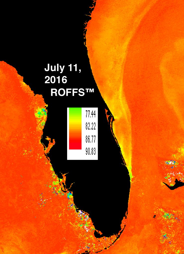 Florida Upwelling July 11, 2016