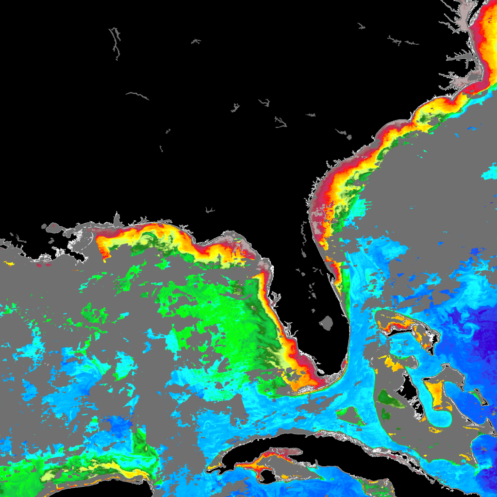 A20190142019020.1KM.SECOORA.7DAY.L3D.CHL