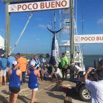 1st Place Overall Largest Blue Marlin Captain Dee Wallace (Hasta Luego)