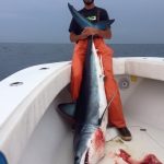 Nice going Steve Spagnuola and team.
Well. My man FINALLY got a mako that they can take back to the dock! They're takin it to the scales now!!!! So happy for him! And congrats to all the boys. smile emoticon I know they're just as excited as Michael is. Can't wait to see how much it weighs, and if they make money off of it in Jims Shark Tournament!