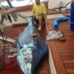 2nd Place Blue Marlin Captain Patrick Ivie (Breathe Easy)