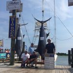 ROFFS™ client "Ashley Lauren" brought a 621.4 lb. Blue Marlin to Big Rock Landing last week, putting them in 1st Place for the 2016 Big Rock Blue Marlin Tournament!