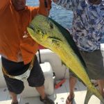 A fantastic day of fishing for ROFFS™ client Capt. Jim Delamarter, Brett Brumbach, Dave Garrison and Brent Miller (Big Red One) off St Simons. "Just some of the fish we caught; analyses was dead on and fish were located right where you said they would be. Thanks ROFFS™"!!