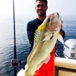 Great fishing for ROFFS™ client Steve Spagnuola and crew (Caveman) Norfolk Canyon Saturday and Wilmington Canyon Sunday inside 35-20 fathom as well. Yellowfin tuna, Mako shark, Blue Sharks, Ling, Sea bass, Golden Tile, Concur Eel, Red Rosie's, Bagauls, Bluefish and Red Hake