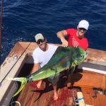 Winning Catch for ROFFS™ Clients Captain Rimmer Covington & Ethan Smith (Cheeseburger) 2nd Place Largest Dolphin in the Pensacola International Billfish Tournament (FL)