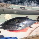 ROFFS™ client Corkey Decker stuck his first bluefin in 2016.