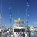 Great fishing action with James Klein (Guided Discovery) Cape Ma NJ.