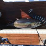 Marcel Israel and Michael Barone landed this nice bigeye south of Long Island, NY. Tough full moon fishing, but a nice fish.