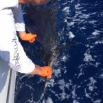 Great fishing action for ROFFS™ Client Jaryd Hurst (Rum Runners Revenge), out of Saint Augustine this past weekend.