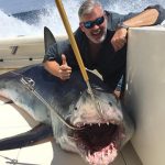 Congratulations to ROFFS™ client David Meberg and crew (Thor III) on a great 1st place Mako win (730 lbs) with Star Island Shark tournament, off Montauk, NY!!