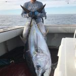 They are still off the coasts of NY & NJ. Nice tuna Marcel Israel.