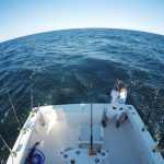 ROFFS™ Client Carl Frandino (Reel Keepher), HOT TUNA action in the Canyons out of Great Egg Inlet, NJ.
