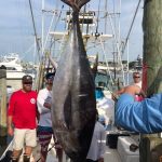 Congratulations to ROFFS™ Clients Samuel Kistler, Captain Corrigan Mello, Ryan Kane, Tim Sauer, Sandy Fisher & James Joyce (Sea Saw). Oak Bluffs Bluewater Classic (MA): 1st Place Biggest Tuna.