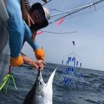 ROFFS™ Client Andrew Levinson (Seaflame) fished the canyons out of Indian River, DE.
“We went 2 for 2 on white marlin and seen one other, raised a blue marlin and caught a 53lb yellowfin.” First white marlin for the anglers...