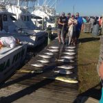 Tuna Fever adds a nice pair of wahoo with their tuna and mahi.