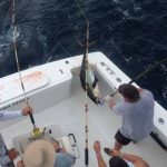 Tuna Fever, Oregon Inlet