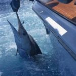 ROFFS™ Client A. Don Jolley (Jolley Roger) fishing off of Cat Island, Bahamas.