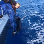 ROFFS™ Client Captain Scott McCune, Hudson and crew on Fish N Texas at the Deep Sea Round-Up (TX).