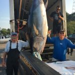 Talk about reeling in the big one, that's a tuna!! ROFFS™ client Jack Gardner, 90 inch 465 lbs, off Chatham.
