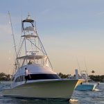 Operation Sailfish (FL): Operation Sailfish (FL): 1st Place Top Male Angler. 1st Place Late Bite Friday, 1st Place Day One Leader Board, 1st Place Day One Tier 1 Daily & 1st Place Day One Tier 2 Daily, 2nd Place The Big Easy Calcutta Rob Gothier & Captain Raul Gonzalez (Bar South)