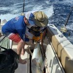 Congratulations to ROFFS™ Clients Beau Jarrett, Zack Cloud & Christopher Pelt (Off the Grid).
Pensacola International Billfish Tournament (FL): 2nd Place Largest Tuna.