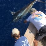ROFFS™ Client Jim Johnston Jr. (Big Sky), Bill Church, Andy & Guilds Peace and Tucker Caines.
“Tuesday and Saturday last week. The two Georgetown Hole Analysis put the Big Sky on both of these Blue Marlin last week. Thanks for the help.”
Tucker caught his first Blue on Tuesday and Guilds caught her first Blue on Saturday.
