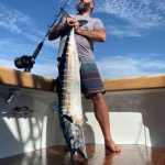 ROFFS™ Client John Bayliss (TARHEEL) Bayliss Boat Works.
“Just wanted to thank you for sending the ‘shot’ to me last week. It gave me cause to declare a “Fish Emergency” from work on Saturday, and I took a bunch of the guys from the Shop. Great day! A 450 # Blue Marlin, a white marlin, a 78 lb wahoo and a 50 lb’er, then 16 tuna. They were thrilled! So was I Thank you and your team!”